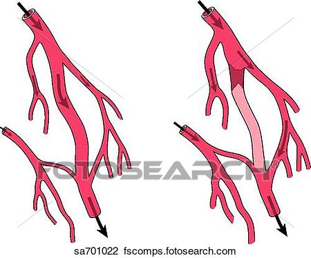 450x374 Clip Art Of System Of Blood Vessels Capable Of Providing More Than
