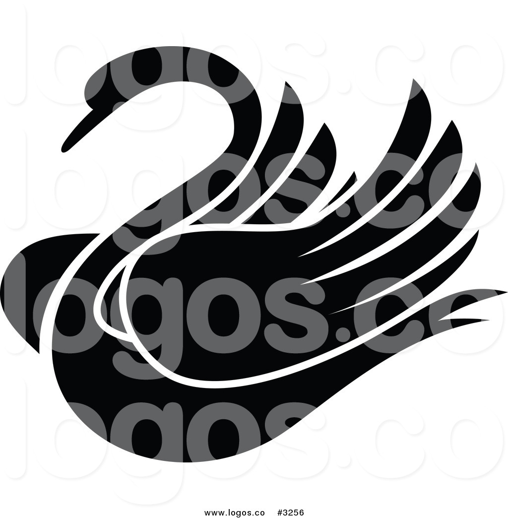 1024x1044 Top 76 Black Swan Clip Art