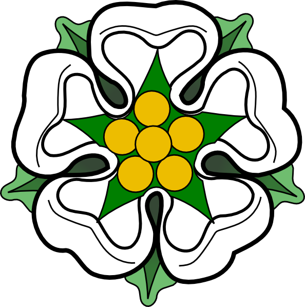 594x597 White Rose Clip Art