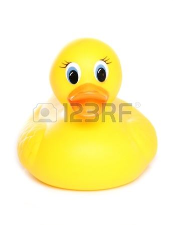 345x450 Rubber Duck Stock Photos Amp Pictures. Royalty Free Rubber Duck