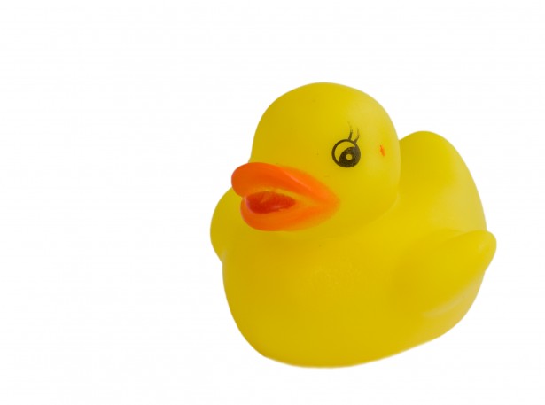 615x457 Rubber Duck Yellow Clipart Free Stock Photo