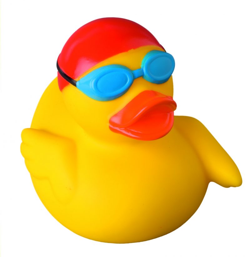 800x822 Swimmer Rubber Duck Buy Premium Rubber Ducks Online