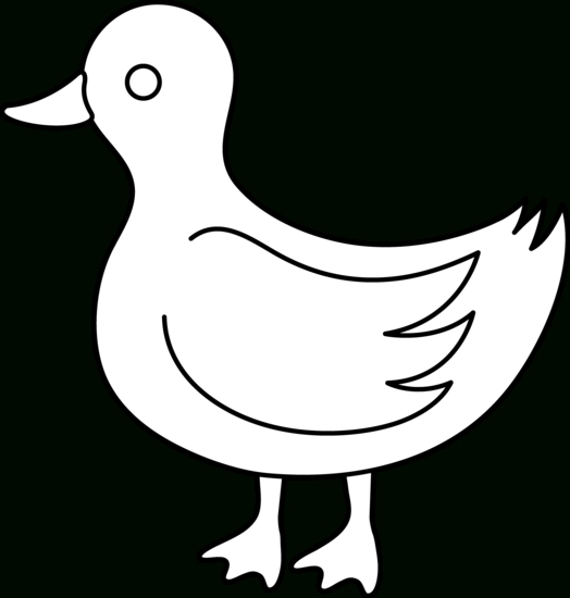 524x550 Top 10 Outline Picture Of Duck