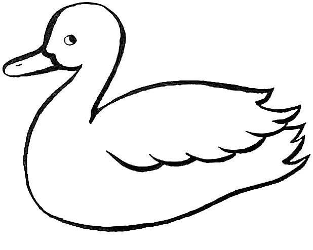 618x494 Duck Clipart Outline Cliparts