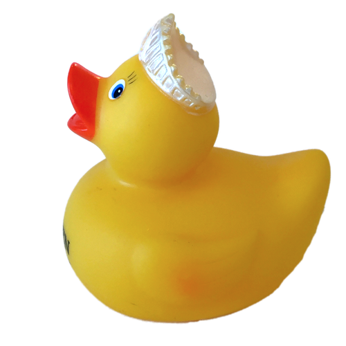 500x500 King For The Day Rubber Duck Ducks In The Window