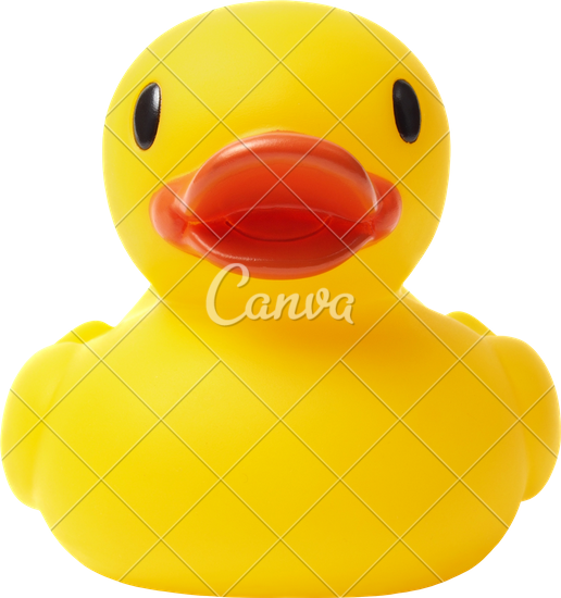516x550 Rubber Duck