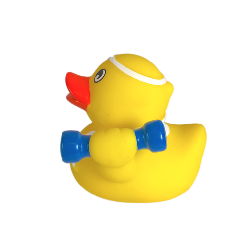 500x500 Workout Rubber Duck Ducks In The Window