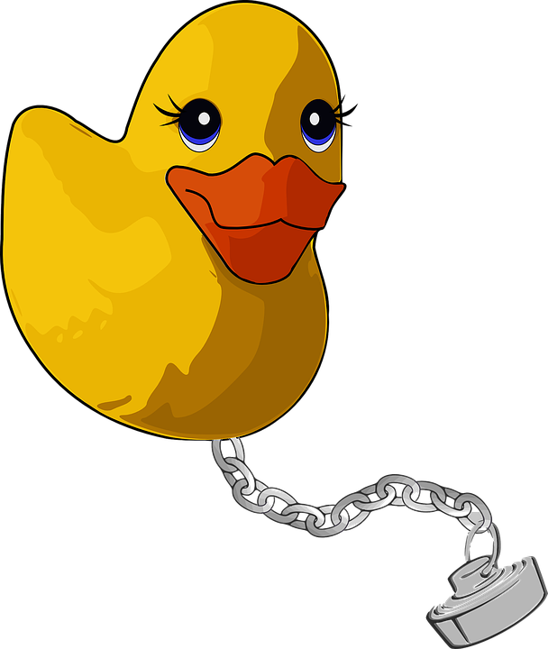 608x720 Duck Clipart Easy