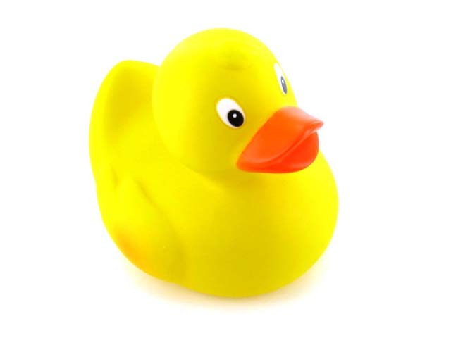 Rubber Ducky Image