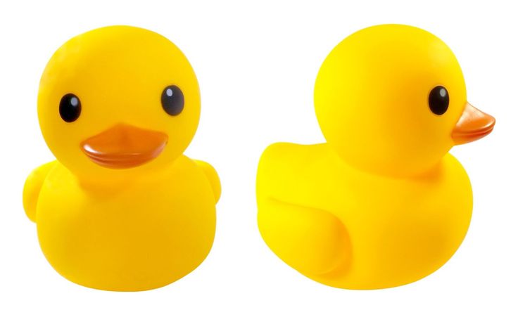 736x441 Beachball Duck Yellow. Pimp Up Your Rubber Duck Race With These