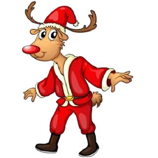 320x320 898 Best Images Poinsettia