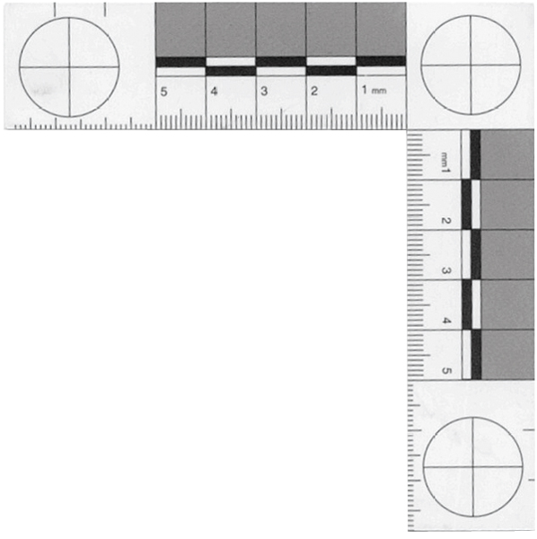 598x600 Rulers Amp Ruler Tapes