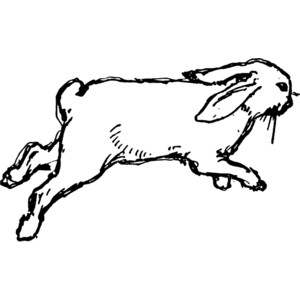 300x300 Rabbit Black And White Running Rabbit Clipart Black And White