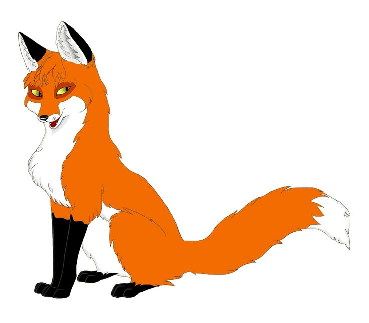 736x645 140 Best Fox Images Fox, Cool Tattoos And Foxes