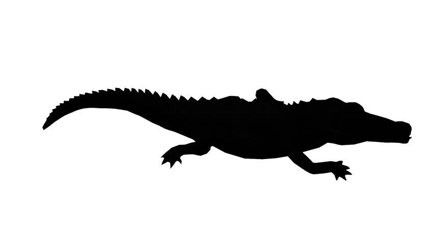 852x480 Running Fox (Loop Animation) Stock Footage Video 15731563