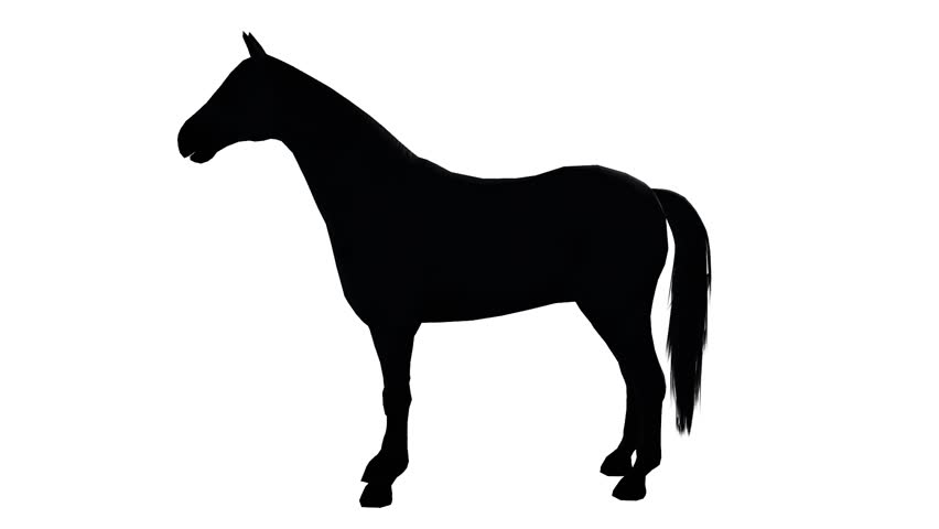 852x480 Running Horse Silhouette ( Seamless Loop ) Stock Footage Video