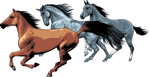 500x258 Running Horse Outline Free Vector Download (5,770 Free Vector)