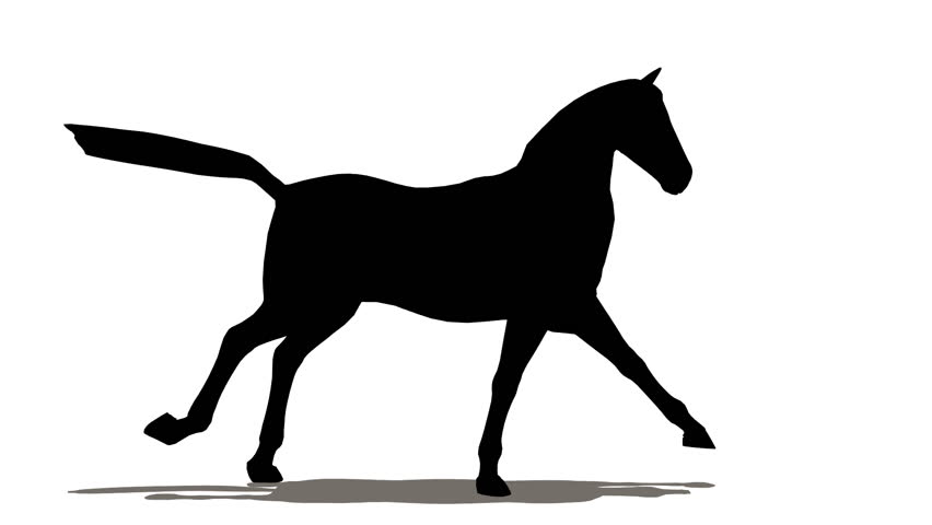 852x480 Horse Silhouette Stock Footage Video 154567 Shutterstock