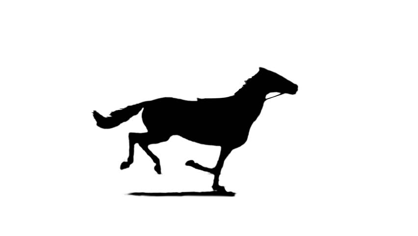 852x480 Running Horse Silhouette ( Seamless Loop ) Stock Footage Video