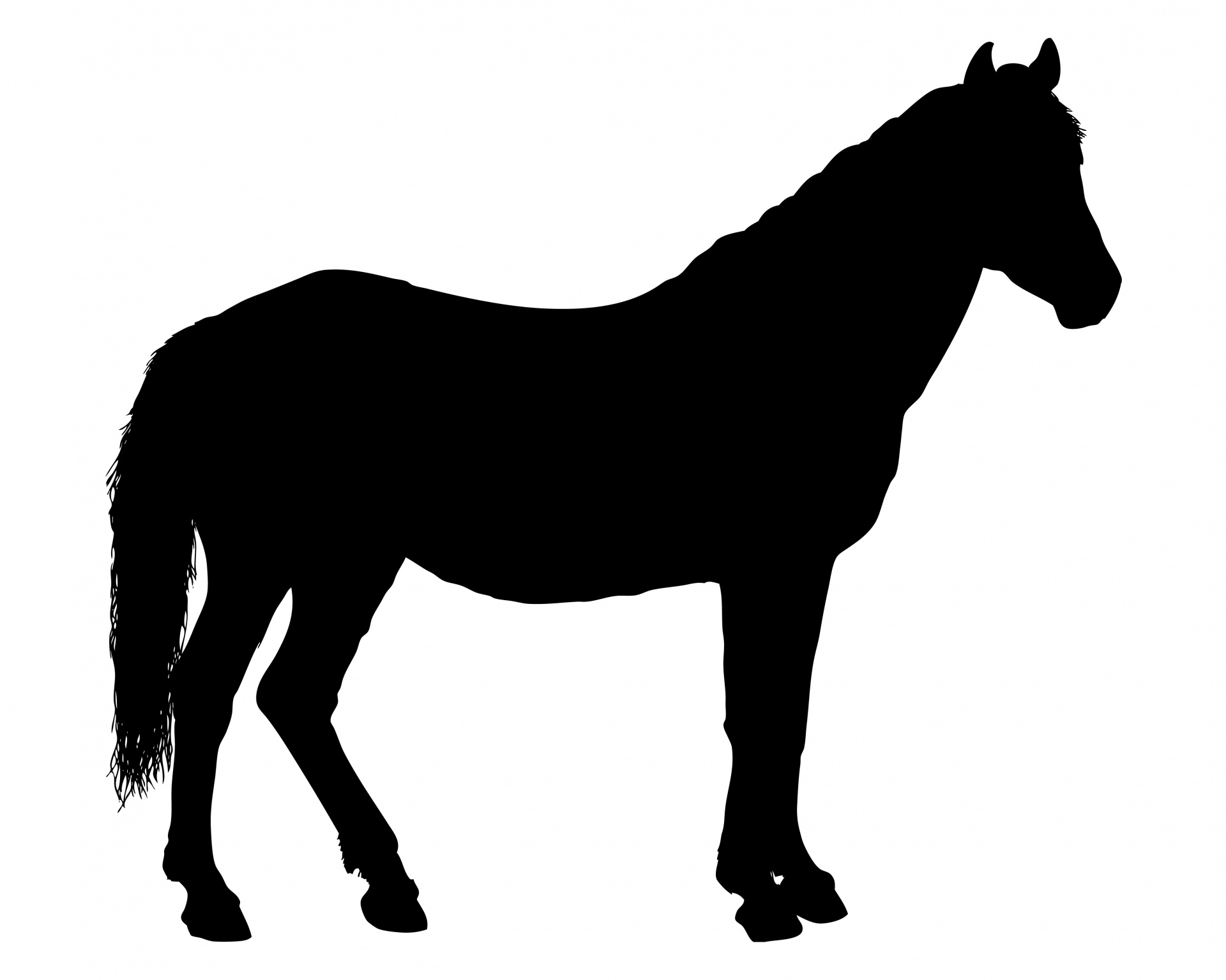 1920x1535 Running Horse Silhouette Images