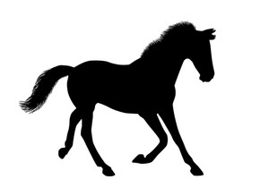 300x210 Silhouette Horse Running On The Ground Royalty Free Stock Image