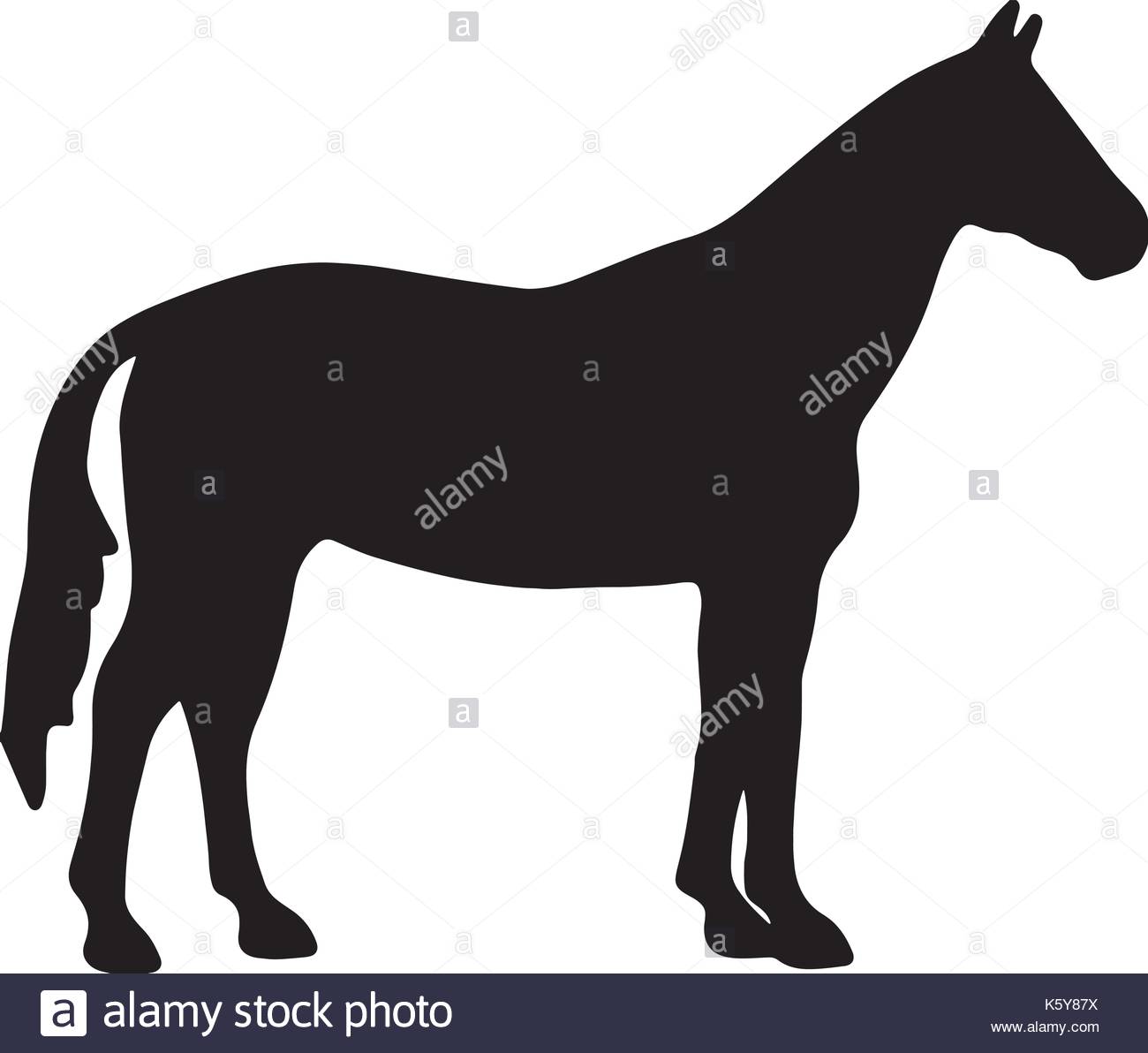 1300x1192 Horse Animal Silhouette Icon Vector Stock Photos Amp Horse Animal