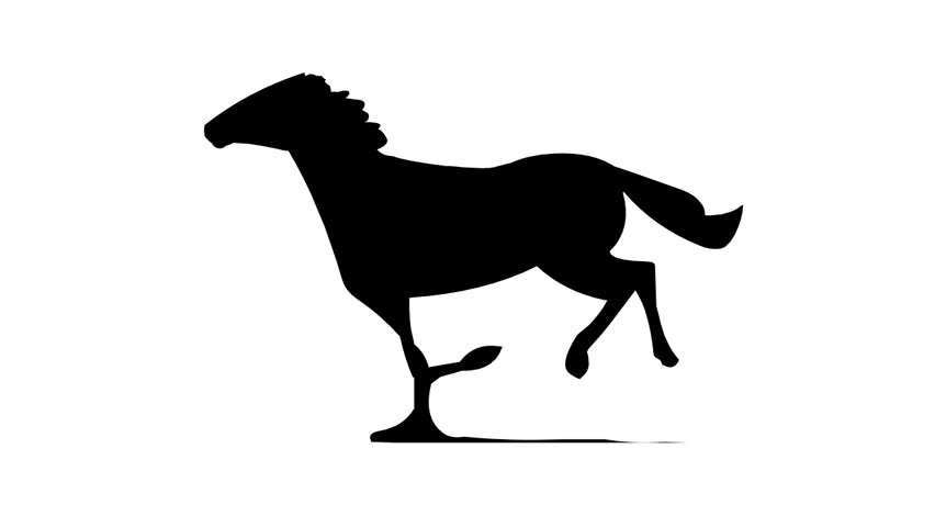 852x480 Horse Silhouette Stock Footage Video 154567 Shutterstock