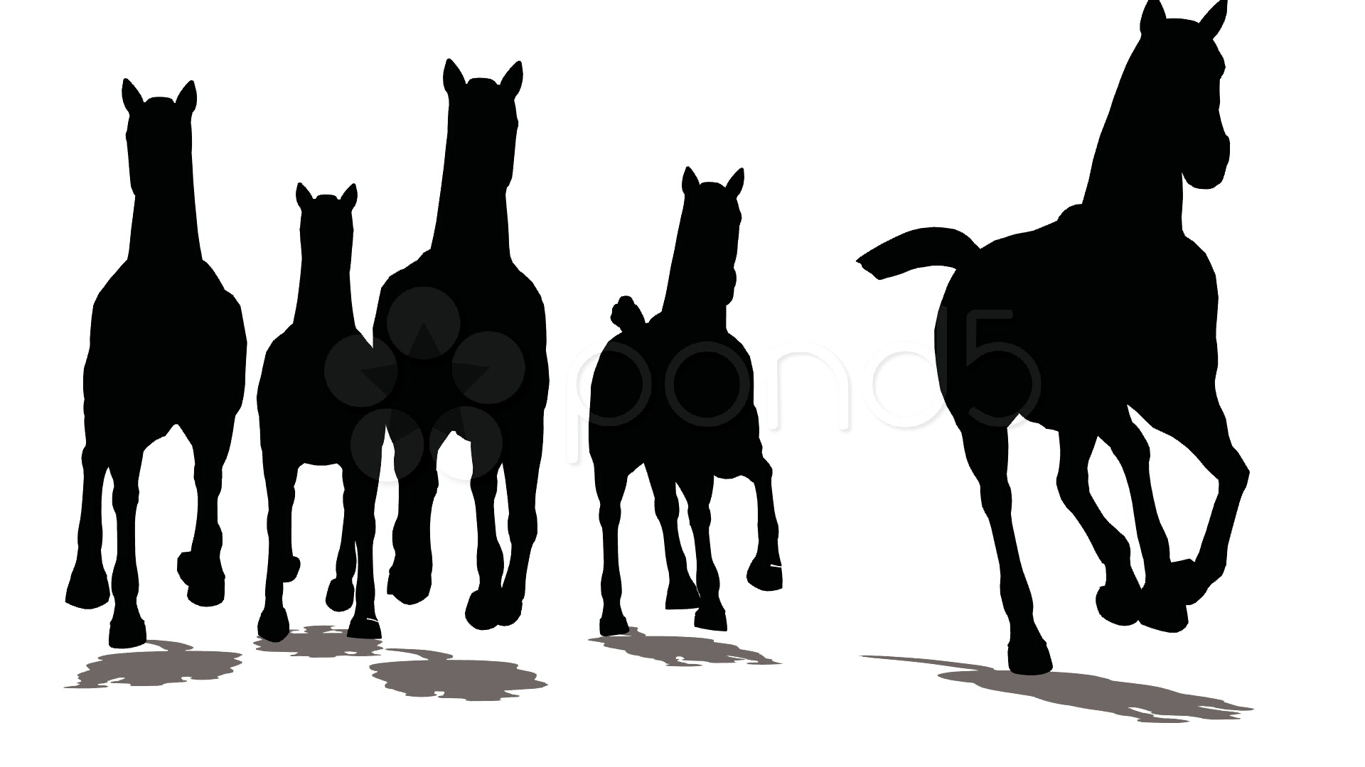1920x1080 Run Of Herd Of Horses, The Front View, Black Silhouette On White