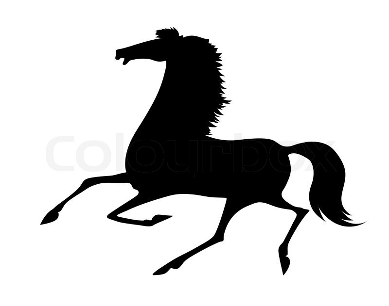 800x631 Vector Silhouette Running Horse On White Background Stock Vector