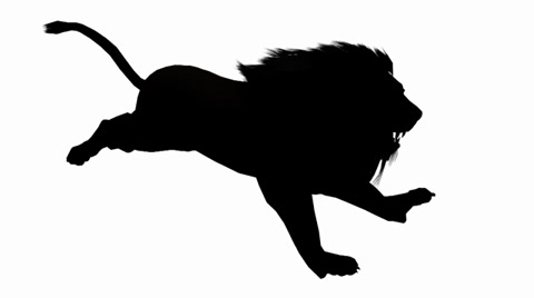 480x268 Lion Run,endangered Wild Animal Wildlife Running Sketch Silhouette