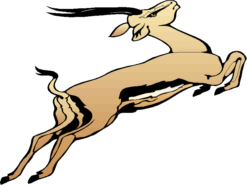 800x600 Top 88 Gazelle Clip Art
