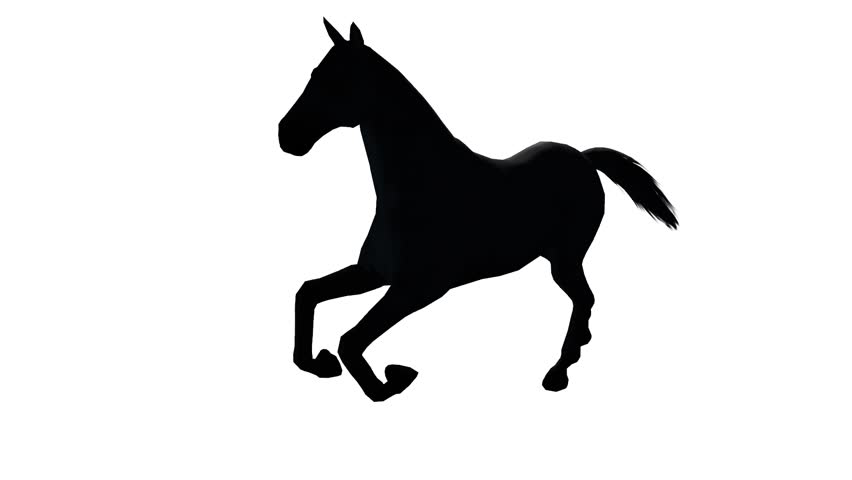 852x480 Black Horse Foal Pet Running,farm Animal Wild Life Silhouette