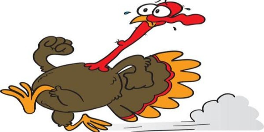 1000x500 Start Your Thanksgiving With A Snohomish County Turkey Trot