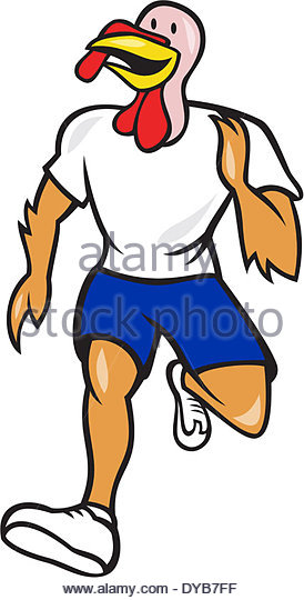 274x540 Wild Turkey Running Stock Photos Amp Wild Turkey Running Stock