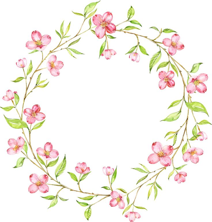 736x772 220 Best Simple Watercolor Images Painting