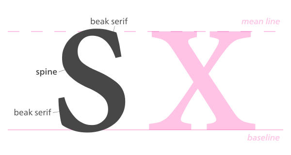 600x320 Letterpunch Glyph Design The Trick To Drawing The Letter S