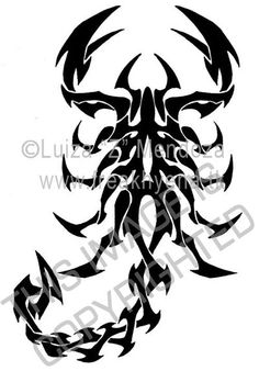 236x338 Tribal Scorpion Tattoo Tatuajes Tattoo, Tatoos