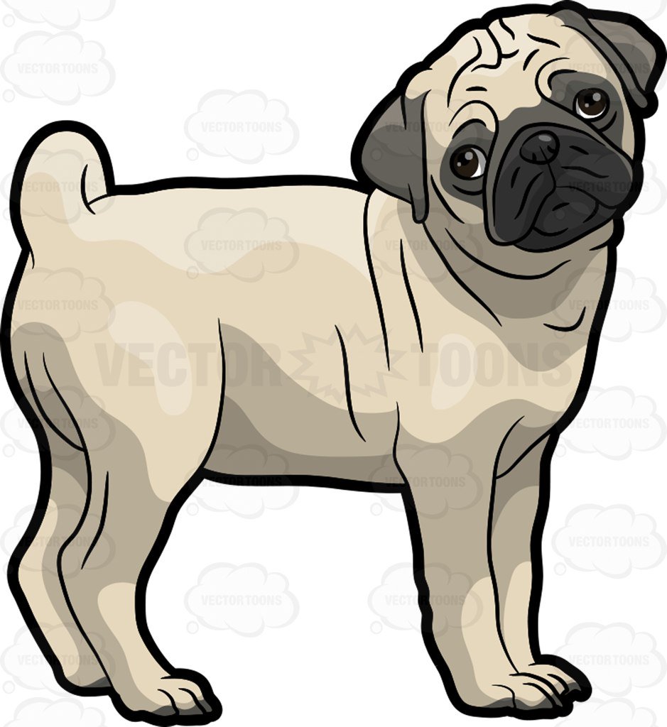 939x1024 A Sad Pug Dog Cartoon Clipart