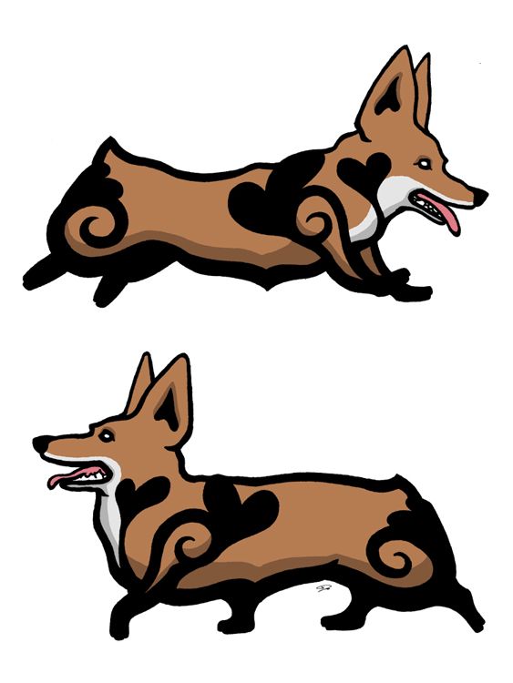 563x750 Corgi Clipart Sad Animal