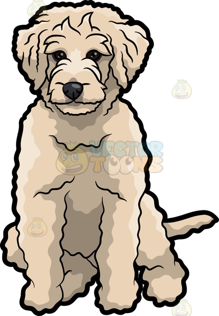 710x1024 A Sad Golden Doodle Dog Cartoon Clipart