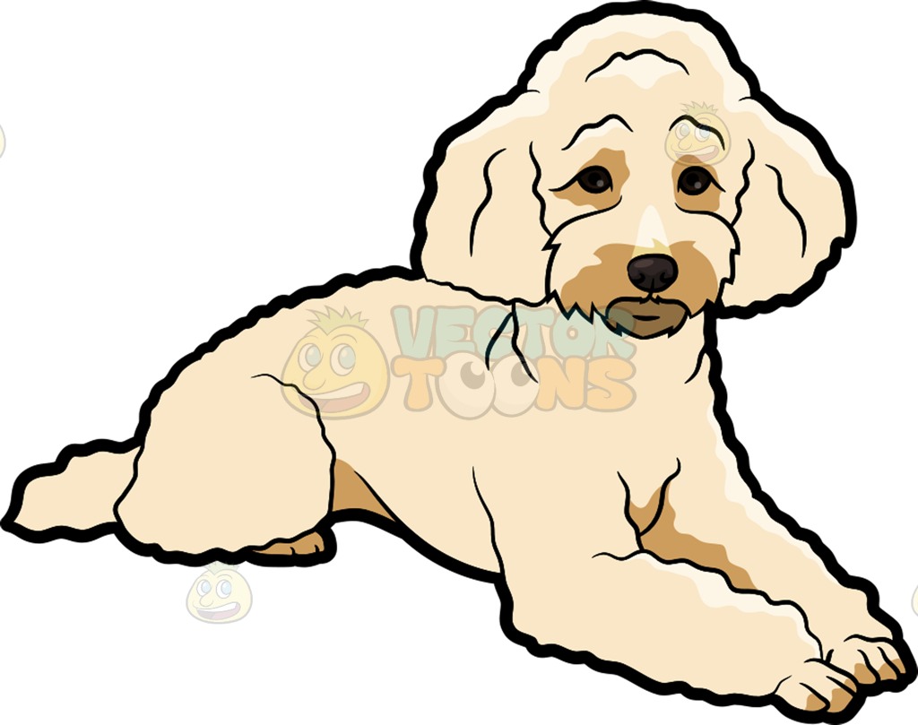 1024x809 A Sad Miniature Poodle Cartoon Clipart