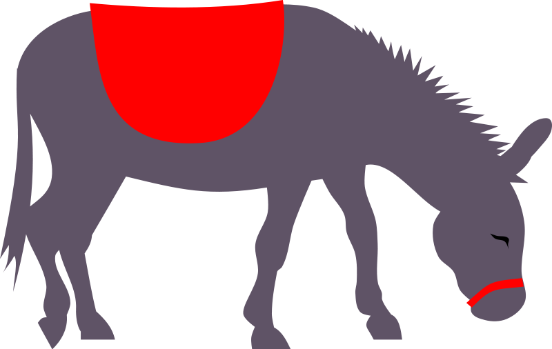 800x506 Donkey Free To Use Clip Art