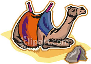 300x211 Camel With A Saddle