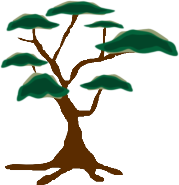 576x595 Tree Clip Art