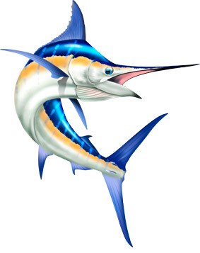 283x357 Marlin Clipart Marine Wildlife Fine Art, Custom Design And Clipart