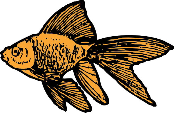 600x389 Sailfish Clipart