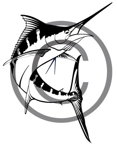 401x500 46 Best Custom Sport Fishing Vector Illustrations Images