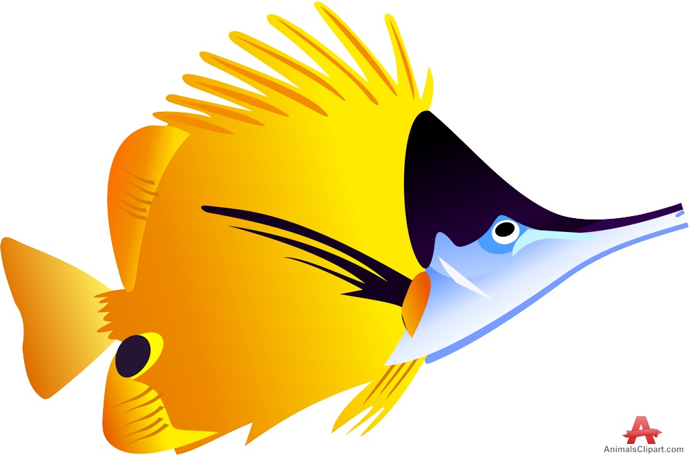 999x662 Colored Fish Clipart Free Clipart Design Download