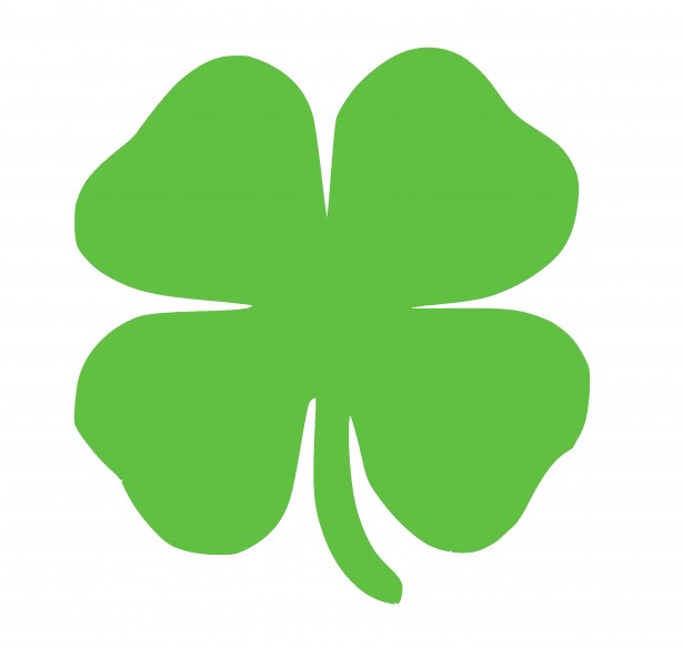 615x584 Shamrock For St Patrick's Day Free Stock Photo