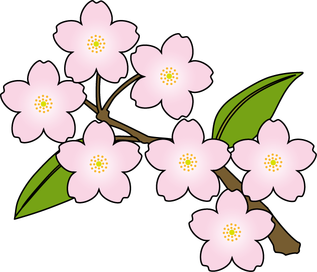 633x544 Sakura Clipart